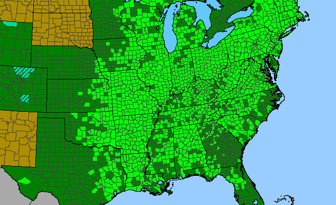 The range of Fraxinus americana